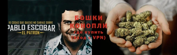 метадон Медногорск