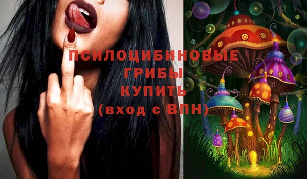 метадон Медногорск
