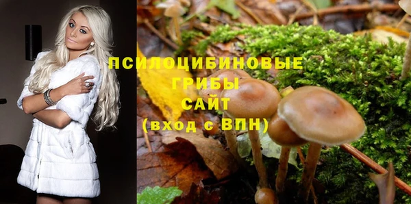 мяу мяу мука Медвежьегорск