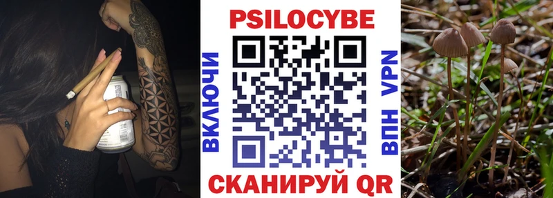 Псилоцибиновые грибы мицелий  наркошоп  Фролово 