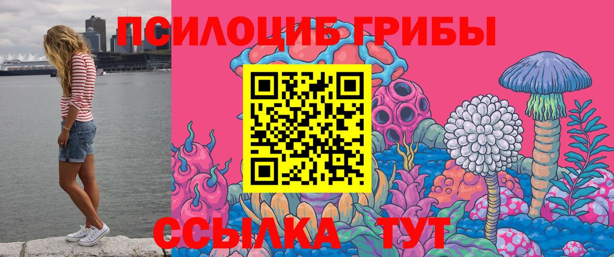 Фролово  где продают наркотики  Вход с VPN  Галлюциногенные грибы мухоморы  Галлюциногенные грибы Psilocybe 