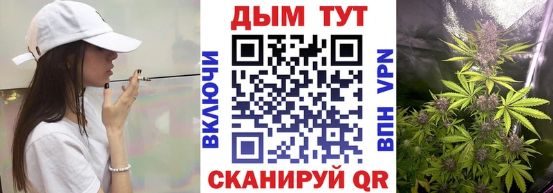 Каннабис MAZAR  Фролово 